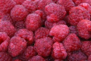 plant-white-raspberry-fruit-berry-sweet-819285-pxhere.com__1.jpg