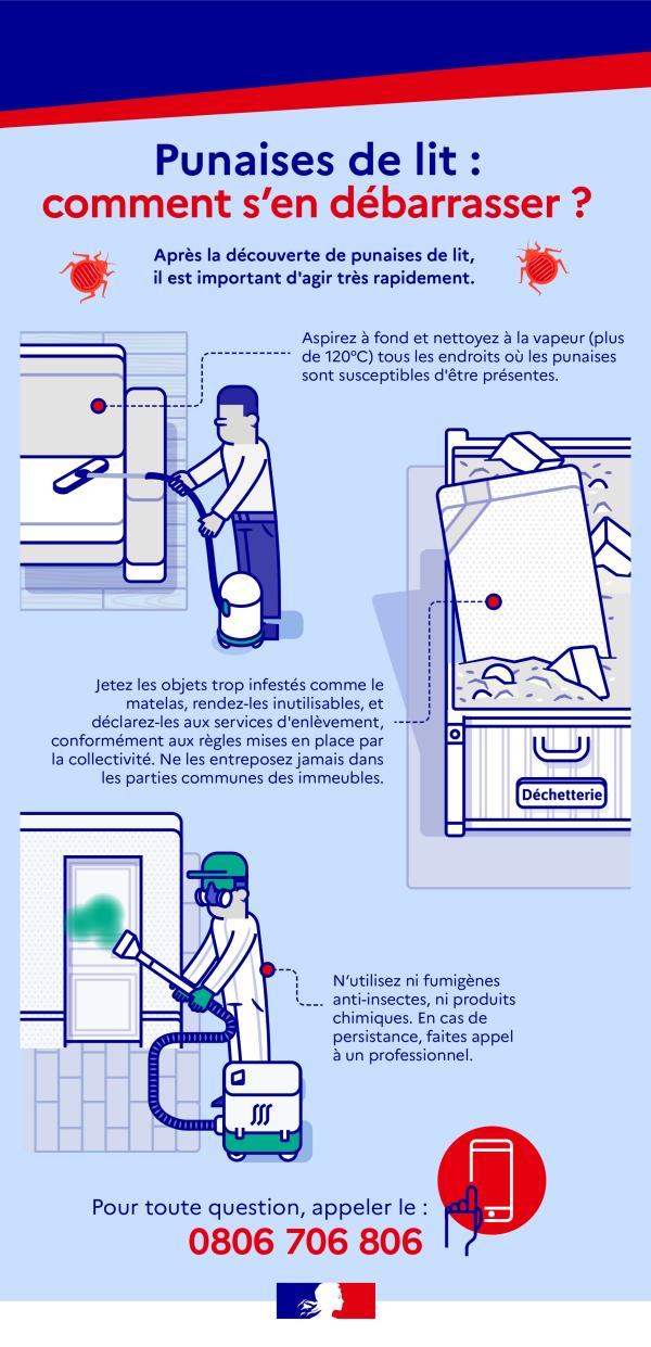 Punaises de lit comment s'en débarasser ? 